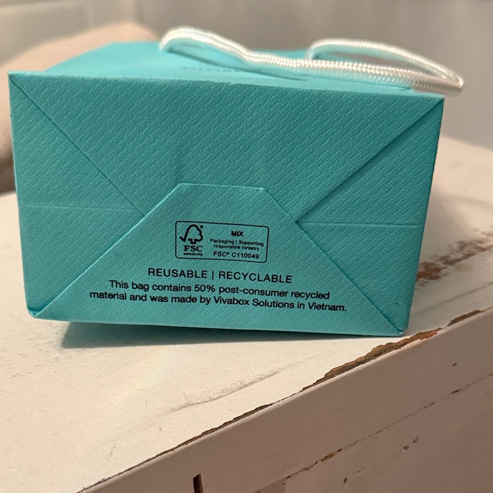 Tiffany & Co. Turquoise Shopping Bag only - Picture 5 of 6